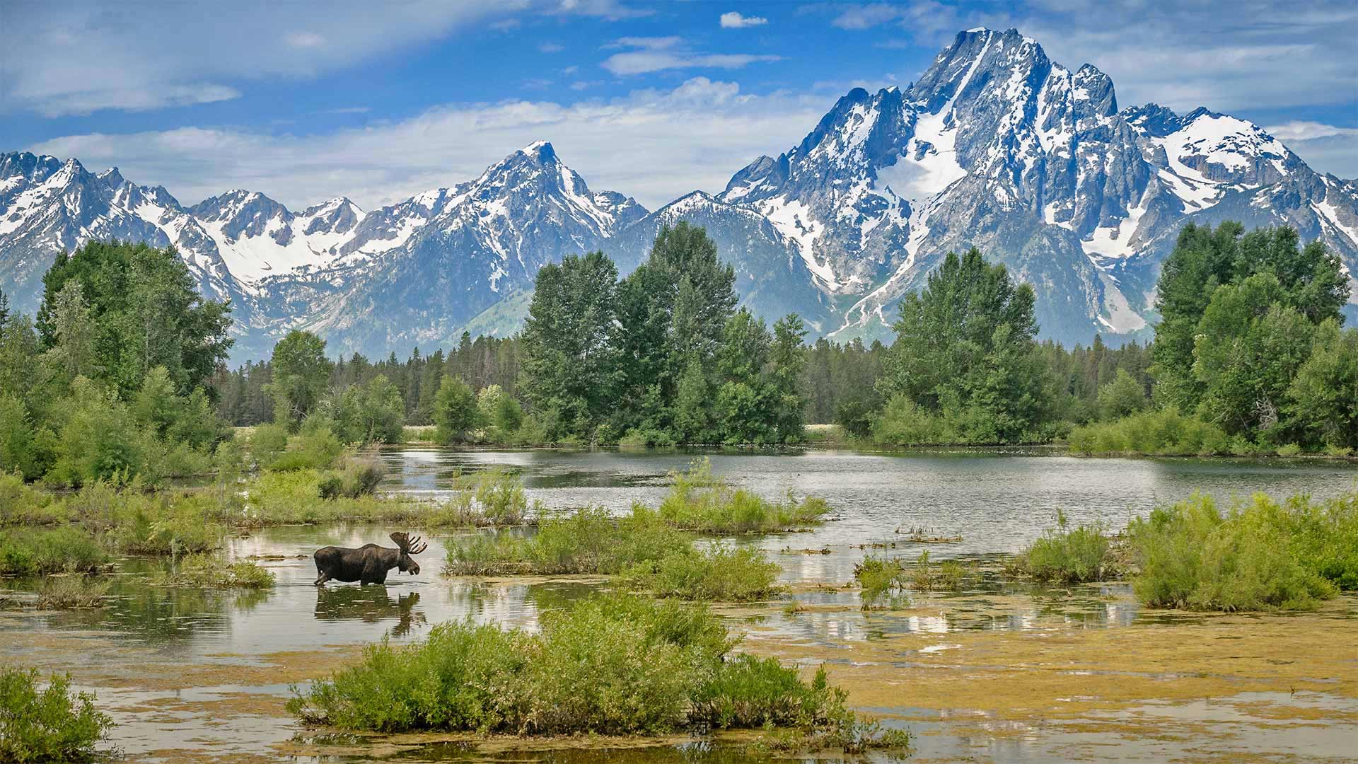 生物信息学知识